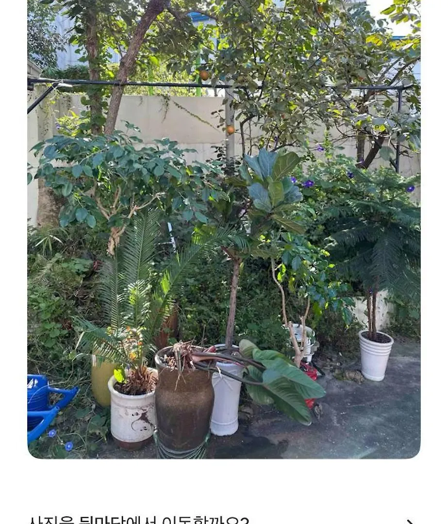 فندق Oak Tree House سيول 0*,  كوريا الجنوبية